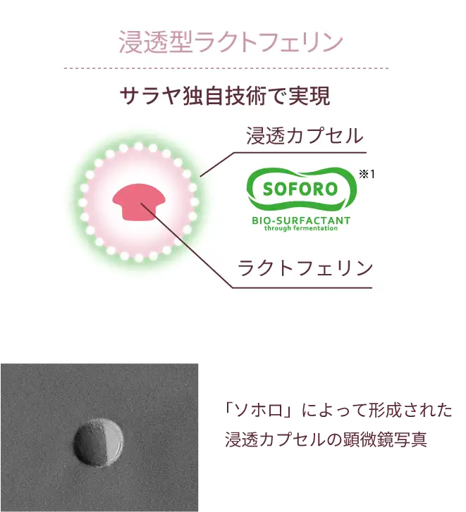 浸透型ラクトフェリン